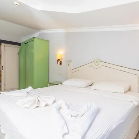 Дом отдыха Aysel Paradise *