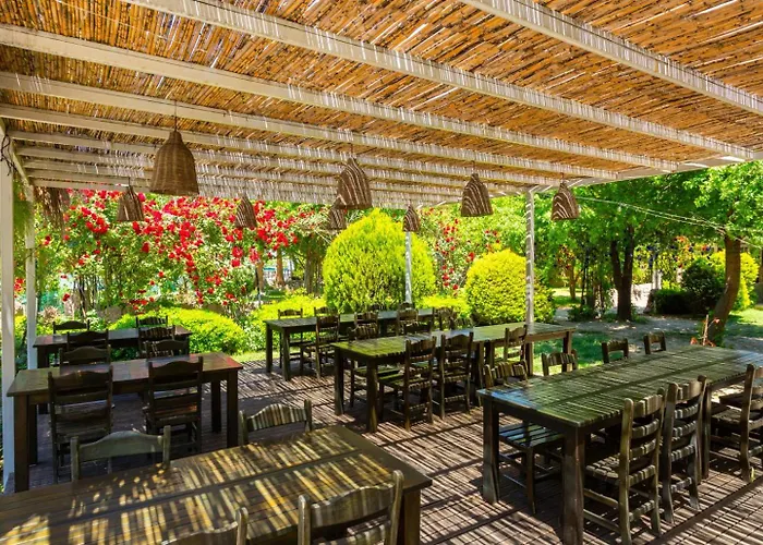 Вилла Aysel Paradise *